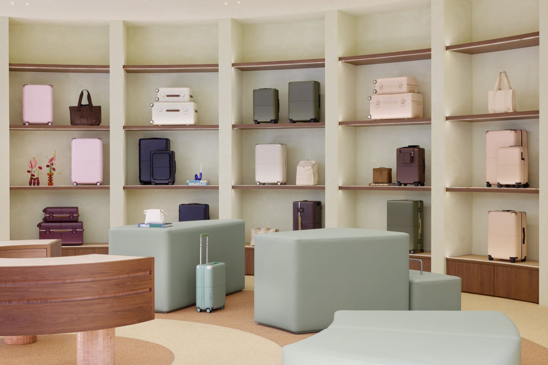 Perimeter display shelving with timber reveals holding July luggage
